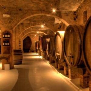 italy wine experience