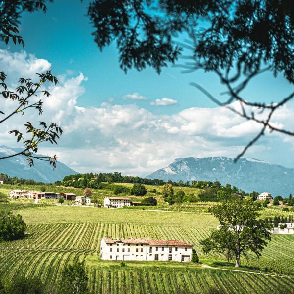 Lombardy Franciacorta