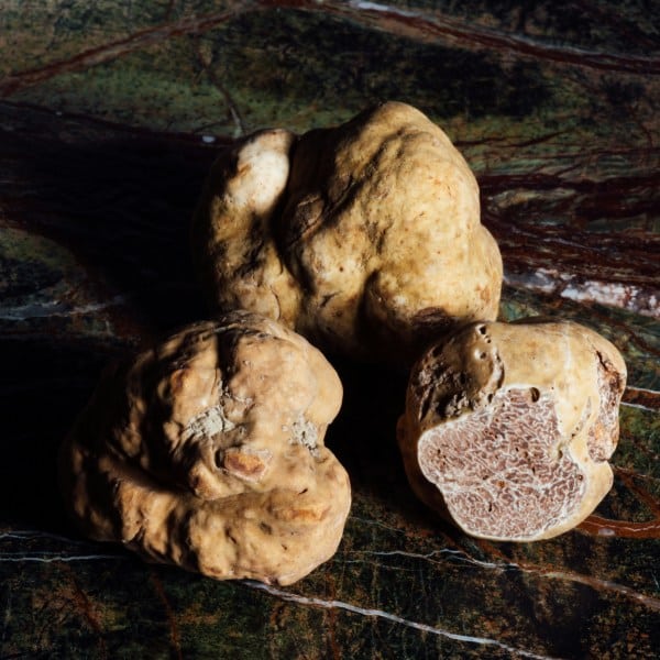 Molise Truffle