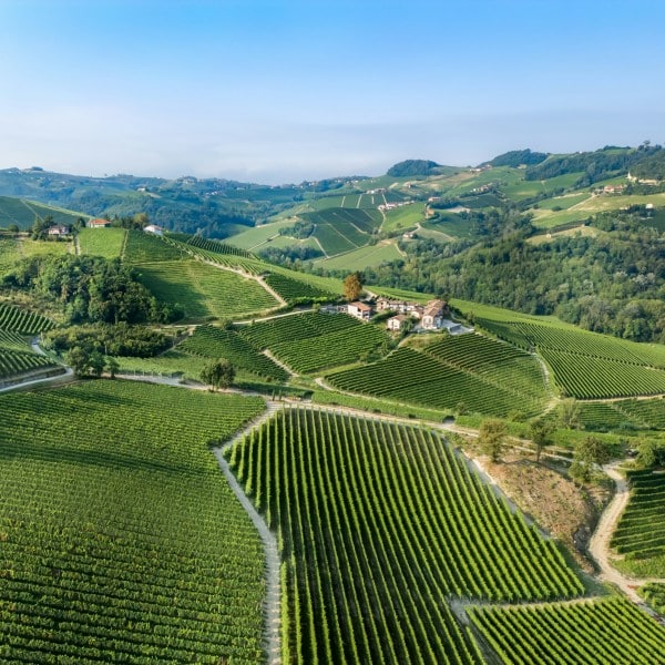 Piedmont langhe self drive