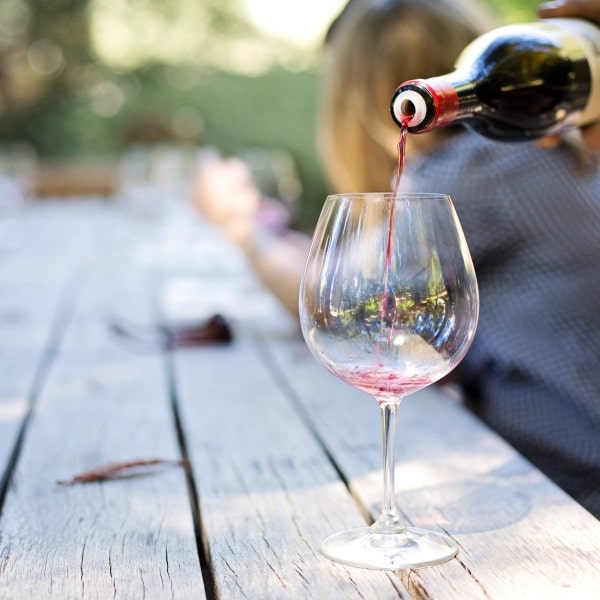 Trentino Alto Adige Wine tasting