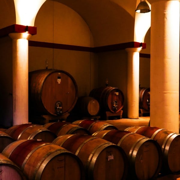 Tuscany Supertuscan experience
