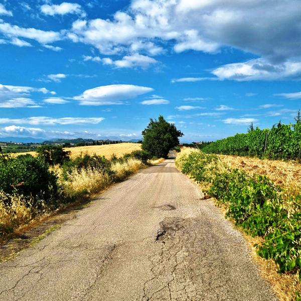 Umbria Self Drive road