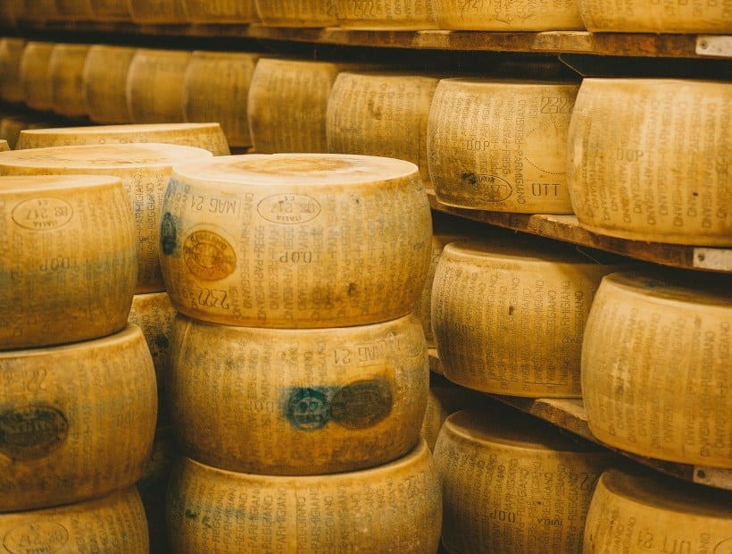 Parmigiano Reggiano cheese wheels aging in traditional dairy Emilia-Romagna