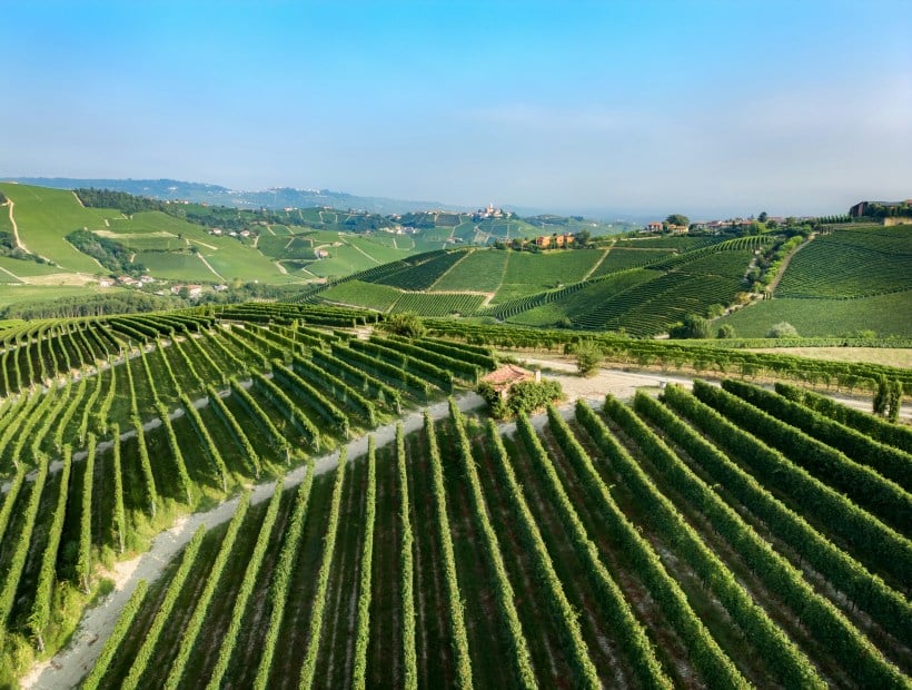 Piedmont Langhe road