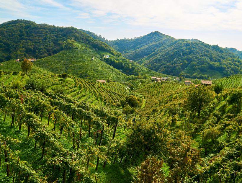 Prosecco Hills vineyards in Valdobbiadene UNESCO site Veneto Italy Trails