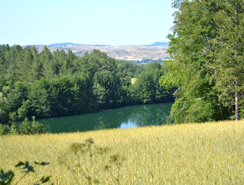Sila National Park forest and lake landscape in Calabria Italy Trails
