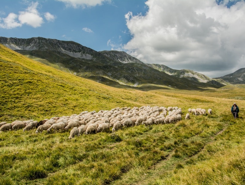 transhumance abruzzo italy
